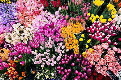 据报道EA CEO安德鲁或将担任迪士尼高管职位